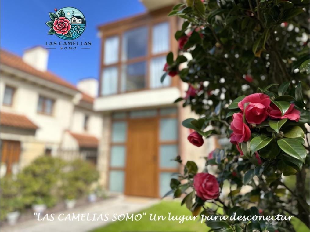 "Las Camelias Somo" Un Lugar Para Desconectar!! Vistas Al Mar!! Exterior photo
